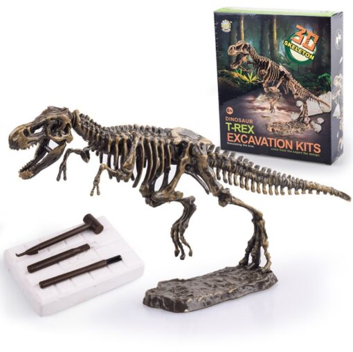 Creative Simulation Dinosaur Archaeological Excavation