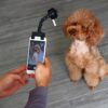 Creative Adjustable Pet Selfie Stick Phone Clip Holder