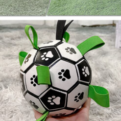 Interactive Dog Lovely Paw Football Ball Training Toys