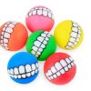 Funny Dog Sound Ball Squeaky Chew Teeth Toy