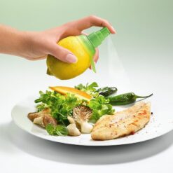 Creative Kitchen Fruit Lemon Citrus Juice Sprayer