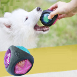 Multi-Colored Pet Dog Flash Rubber Thrower Ball Toy