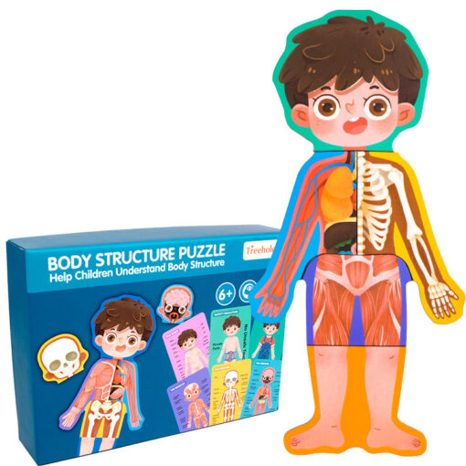 Children's Wood Human Body Organ Structure Puzzle Toy - Image 5