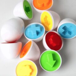 Montessori Kids Egg Shape Color Matching Toys
