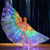 LED Wings Glow Light Up Cosplay Dance Performance