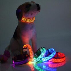Adjustable Pet Safety Glow Collar LED Night Light