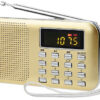 Portable AM FM Radio Speaker Receiver Music Player