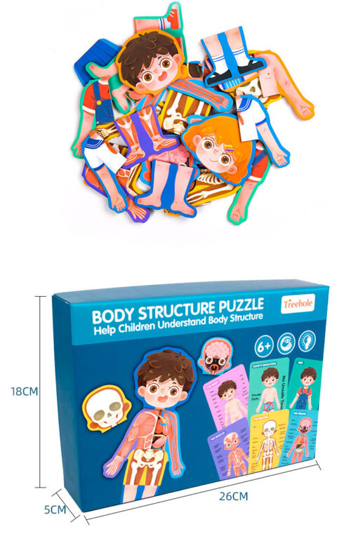 Children's Wood Human Body Organ Structure Puzzle Toy - Image 3