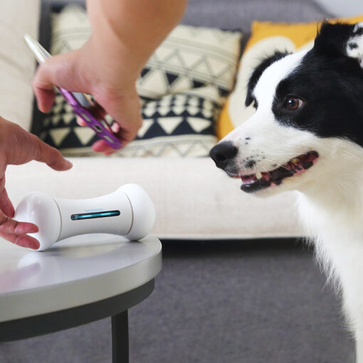 Automatic Interactive Smart Bone Dogs Puppy Cats Toys - Image 3