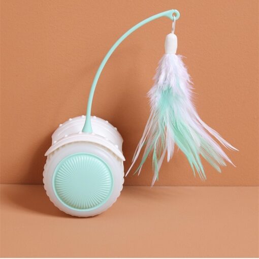 Interactive Remote Control Luminous Feather Cat Car Toys