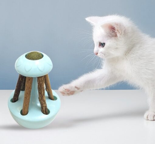 Interactive Catnip Ball Molar Teeth Chew Sticks Cat Toy