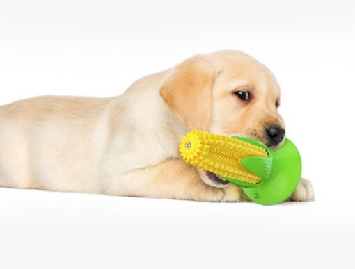 Durable Dog Corn Squeaky Molar Chew Stick Teeth Cleaning Toy - Image 6