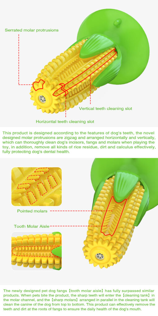 Durable Dog Corn Squeaky Molar Chew Stick Teeth Cleaning Toy - Image 5