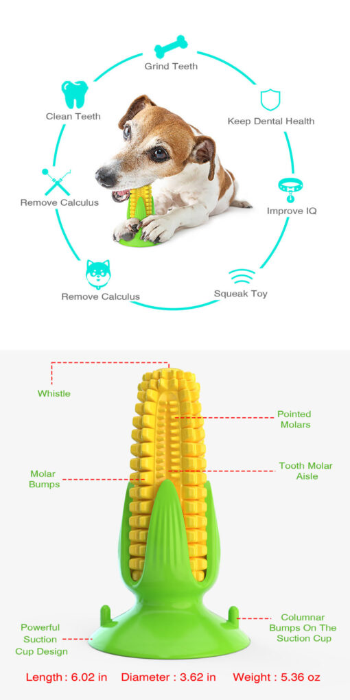 Durable Dog Corn Squeaky Molar Chew Stick Teeth Cleaning Toy - Image 4