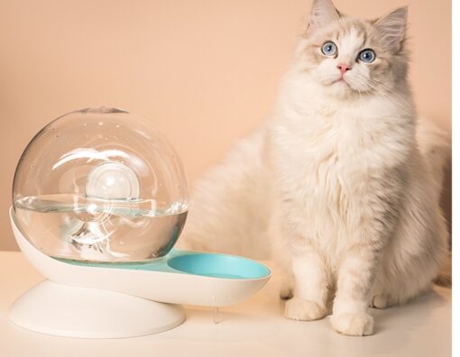 Snail Shaped Automatic Filtered Cat Drinking Water Dispenser