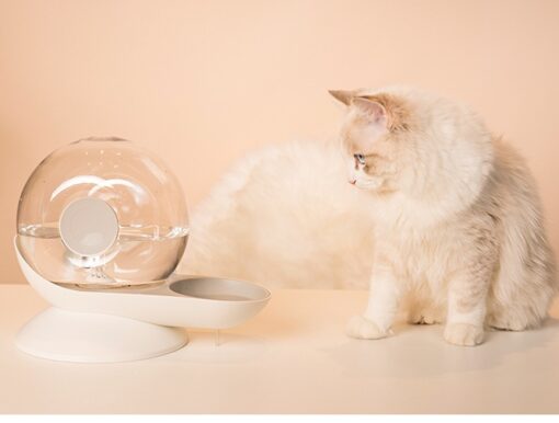 Snail Shaped Automatic Filtered Cat Drinking Water Dispenser - Image 4