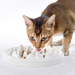 Interactive Pet Ceramic Slow Food Puzzle Feeder Bowl