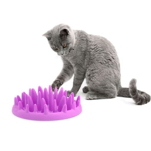 Interactive Silicone Pets Anti Gulping Food Feeder Bowl