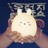 Cute Cartoon Silicone Rabbit Rechargeable Night Light Lamp