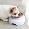 Transparent Pet Cat Slow Feeder Spine Protection Bowl