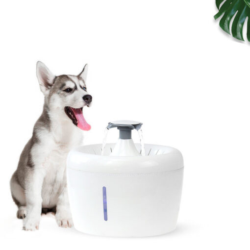 Automatic Electric Pet Water Fountain Drinking Feeder Bowl - Image 5