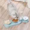 Automatic Pet Double Slow Food Feeder Water Drinking Bowl