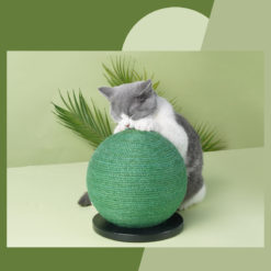 Interactive Cactus Shape Cat Sisal Post Scratching Board Toy