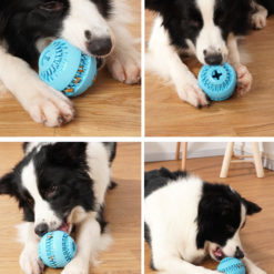 Interactive Bite Resistant Teeth Cleaning Food Treat Ball Dog Toy