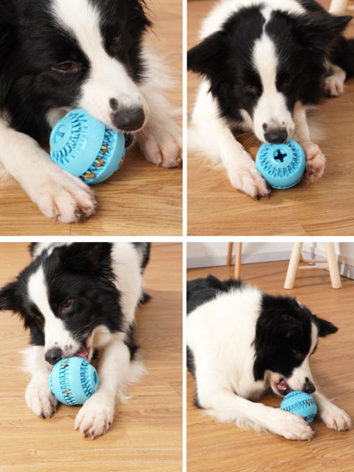 Interactive Bite Resistant Teeth Cleaning Food Treat Ball Dog Toy