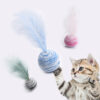 Interactive Funny Cat Fetch Ball Feather Teaser Toy