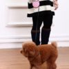 Creative Retractable Diamond-studded Small Dog Leash