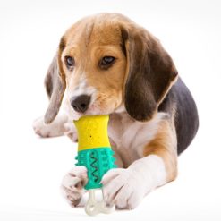 Durable Non-Toxic Dog Molar Sticks Natural Rubber Chew Toys