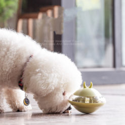 Interactive Pet Slow Food Leaking Tumbler Ball Dispenser