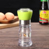 Creative Kitchen Stainless Steel Manual Spice Grinder