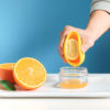Portable Manual Kitchen Fruit Lemon Juice Squeezer