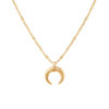 Stainless Steel Crescent Moon Clavicle Charm Necklace
