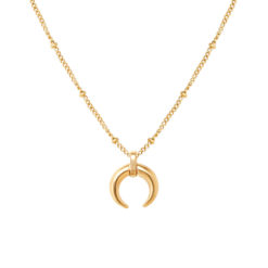 Stainless Steel Crescent Moon Clavicle Charm Necklace
