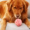 Interactive Pet Chewing Ball Slow Food Feeder Toys