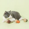 Acorn Catnip Self-Teasing Tooth Grinding Resistant Toy