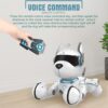 Remote Control Smart Stunt Robot Dog Children Toy