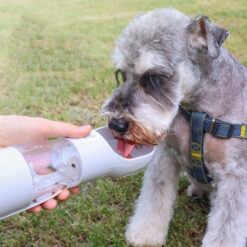 4 in 1 Outdoor Pet Feeding Drinking Cup Water Dispenser