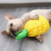 Pineapple Shape Bite Resistance Pet Sniffing Training Toy