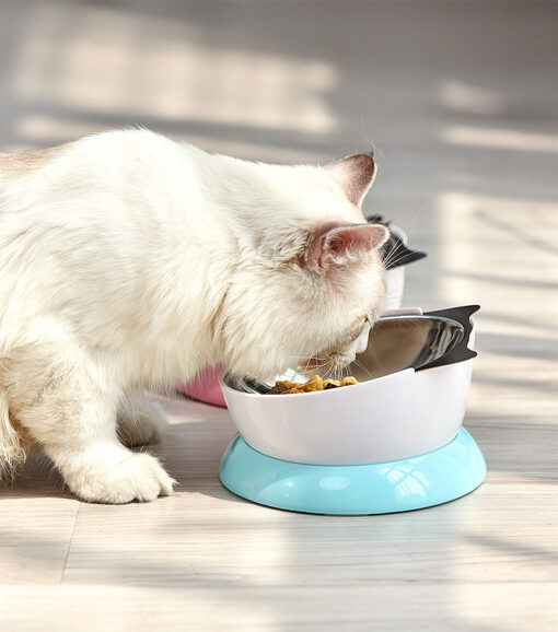 Stainless Steel Non-Slip Food Water Tilted Pet Bowl
