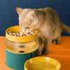Multifunction Anti-tipping Double Pet Food Feeder Bowl