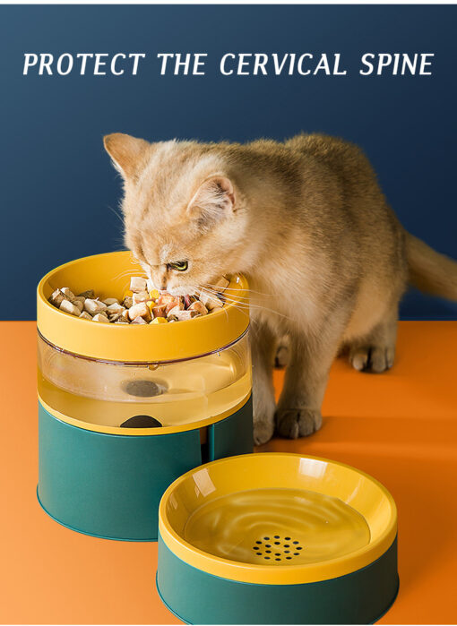 Multifunction Anti-tipping Double Pet Food Feeder Bowl
