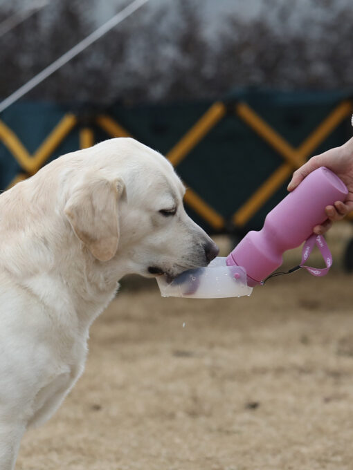 Portable Silicone Pet Travel Drinking Water Bottle Cup