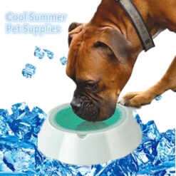 Portable Pet Water Drinking Fountains Dispenser Bowl