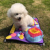 Pet Sniffing Mat Find Food Training Blanket Play Toys