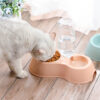 Automatic Pets Double Bowl Water Drinker Food Feeder