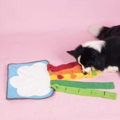 Interactive Rainbow Pet Sniffing Slow Food Treat Mat Toy